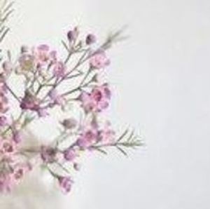 Meet your Posher, Cyd